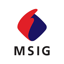 Mitsui Sumitomo Seguros